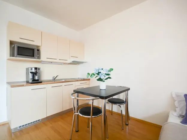 Pronájem bytu 1+kk, Brno, Božetěchova, 32 m2