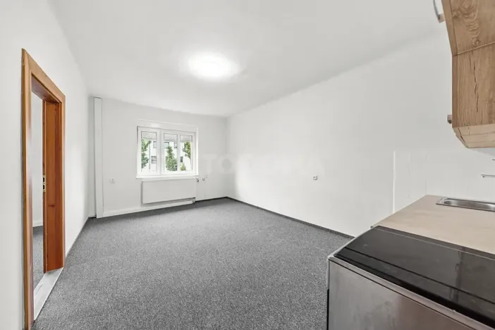 Prodej rodinného domu, Plzeň, Revoluční, 210 m2