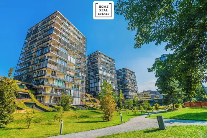 Prodej bytu 2+kk, Praha - Žižkov, Pitterova, 45 m2