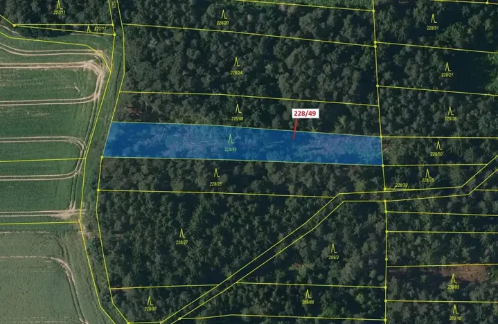 Dražba lesa, Břežany, 2070 m2