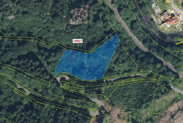 Dražba lesa, Držkov, 3360 m2