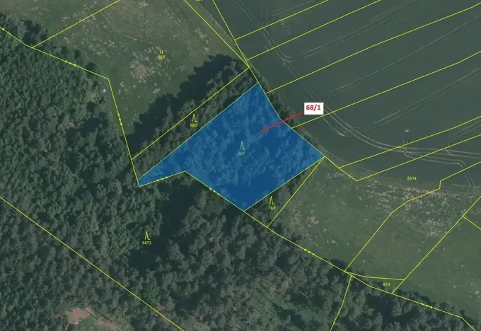 Dražba lesa, Krátošice, 2849 m2
