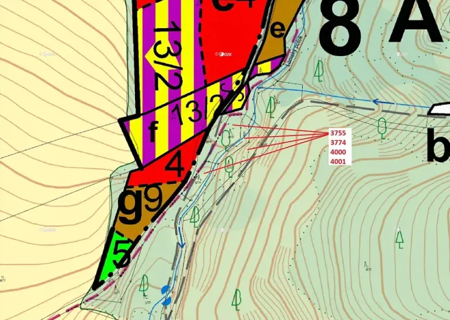 Dražba lesa, Osečnice, 1509 m2