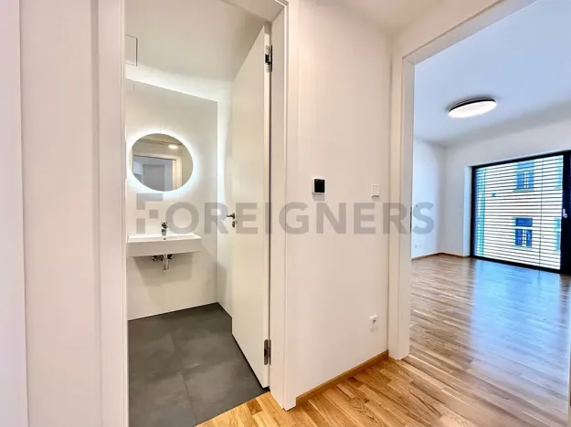 Pronájem bytu 2+kk, Praha, Holečkova, 55 m2