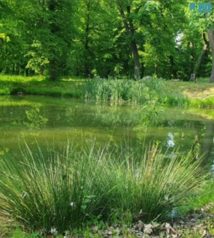 Prodej bytu 3+kk, Býchory, 80 m2