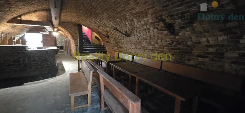 Pronájem restaurace, Opava, Dolní náměstí, 99 m2