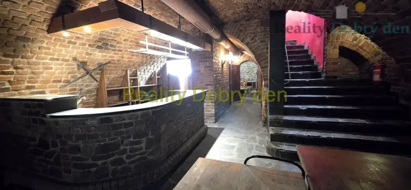 Pronájem restaurace, Opava, Dolní náměstí, 99 m2