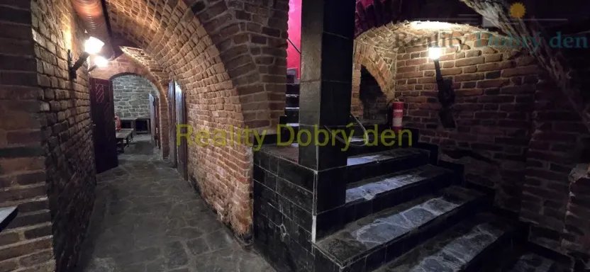 Pronájem restaurace, Opava, Dolní náměstí, 99 m2