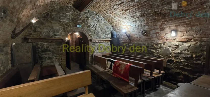Pronájem restaurace, Opava, Dolní náměstí, 99 m2