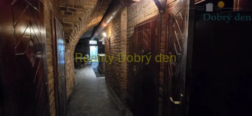 Pronájem restaurace, Opava, Dolní náměstí, 99 m2