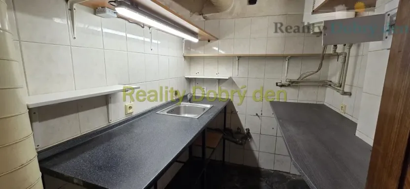 Pronájem restaurace, Opava, Dolní náměstí, 99 m2