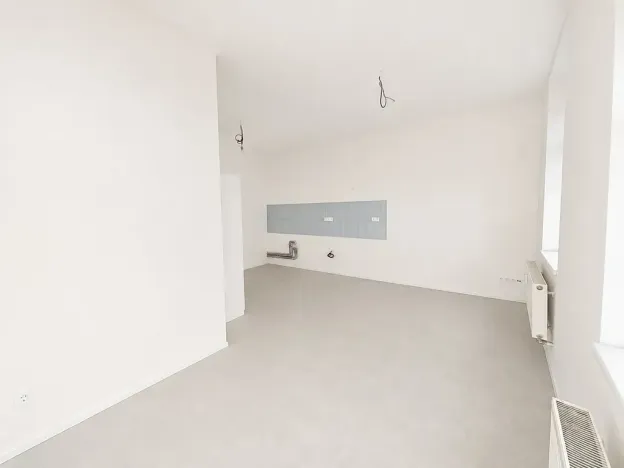 Prodej ubytování, Brno, Cejl, 60 m2