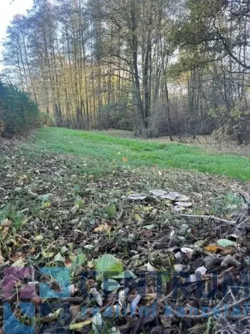 Prodej pozemku pro bydlení, Běhařov, 1746 m2