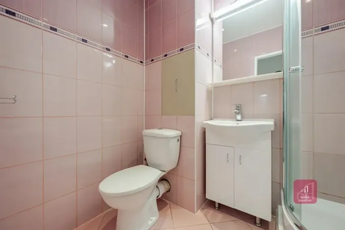 Pronájem bytu 1+kk, Brno, Žitná, 29 m2