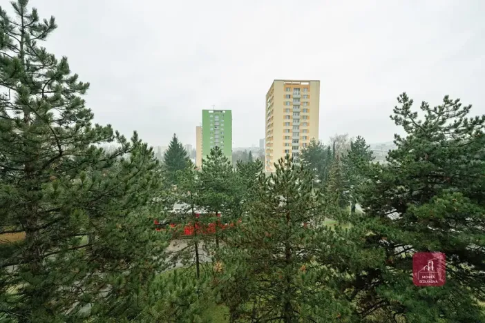 Pronájem bytu 1+kk, Brno, Žitná, 29 m2