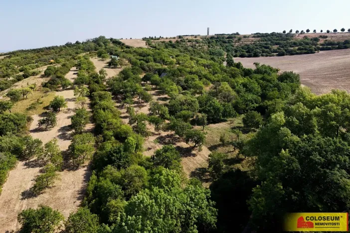 Prodej pozemku, Židlochovice, 4149 m2