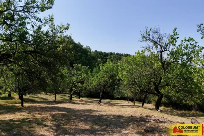 Prodej pozemku, Židlochovice, 4149 m2