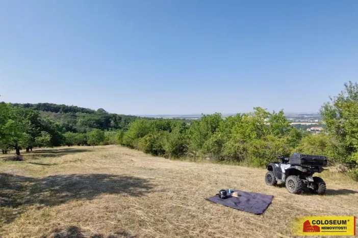 Prodej pozemku, Židlochovice, 4149 m2
