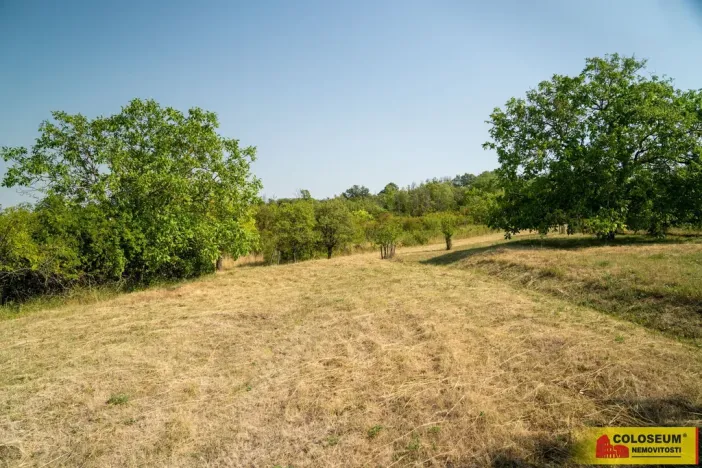 Prodej pozemku, Židlochovice, 4149 m2