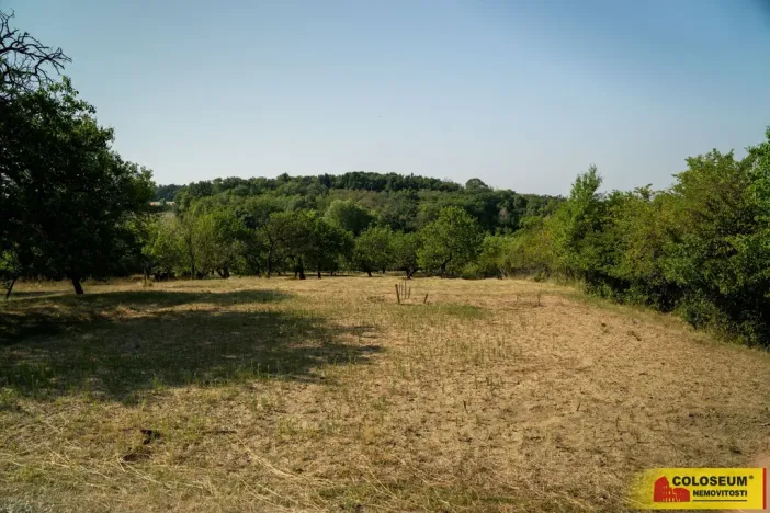 Prodej pozemku, Židlochovice, 4149 m2