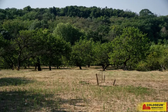 Prodej pozemku, Židlochovice, 4149 m2