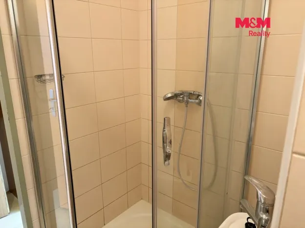 Pronájem bytu 1+kk, Strakonice - Strakonice II, Dukelská, 19 m2