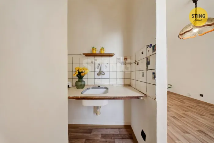 Prodej bytu 1+kk, Ostrava, Resslova, 22 m2
