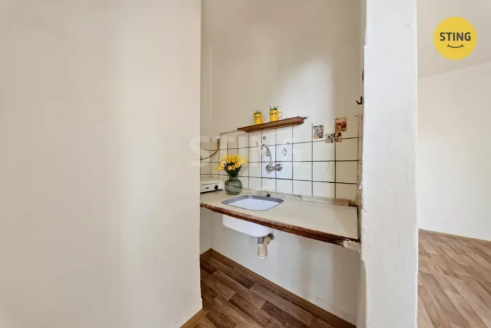 Prodej bytu 1+kk, Ostrava, Resslova, 22 m2