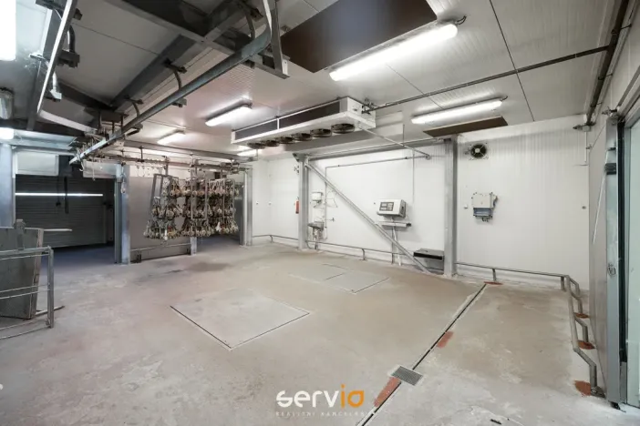 Pronájem výrobních prostor, Tištín, 3100 m2