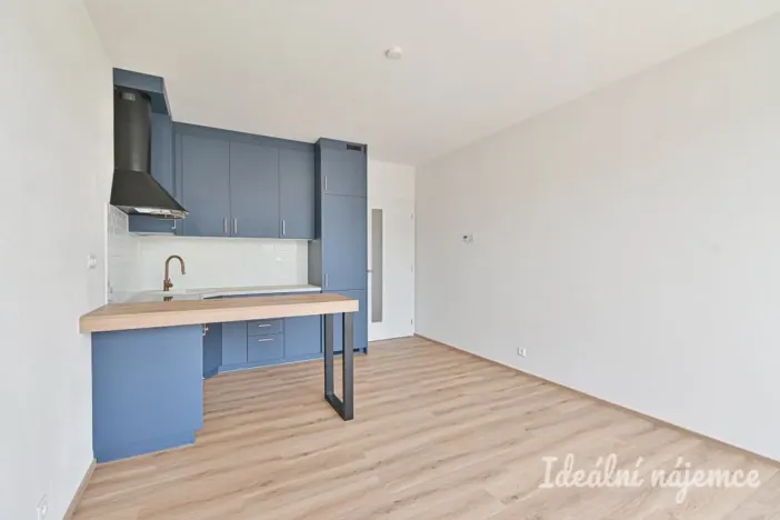 Pronájem bytu 2+kk, Brno, Rybářská, 52 m2