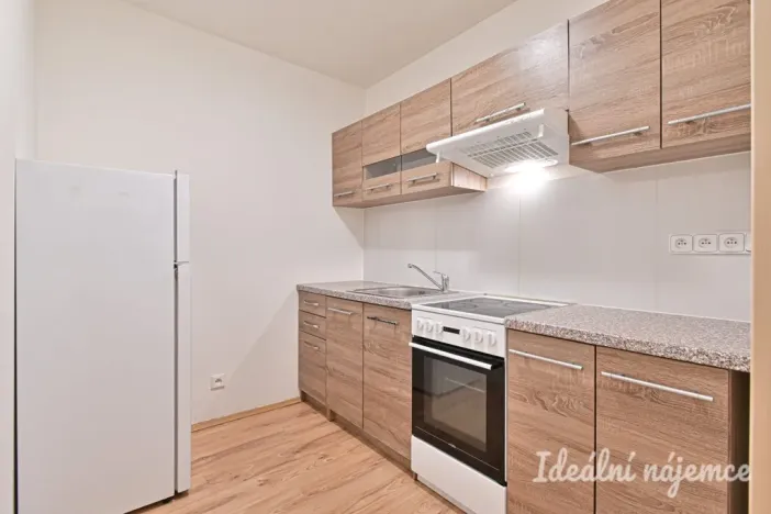 Pronájem bytu 2+1, Brno, Střední, 57 m2