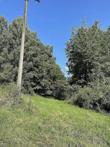 Prodej sadu/vinice, Ondřejov, Břeský vrch, 3453 m2