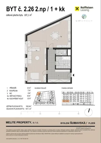 Prodej bytu 1+kk, Plzeň - Východní Předměstí, Šumavská, 107 m2