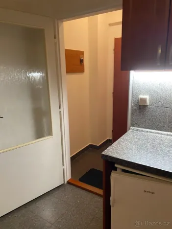 Pronájem bytu 1+kk, Praha - Vysočany, Freyova, 20 m2