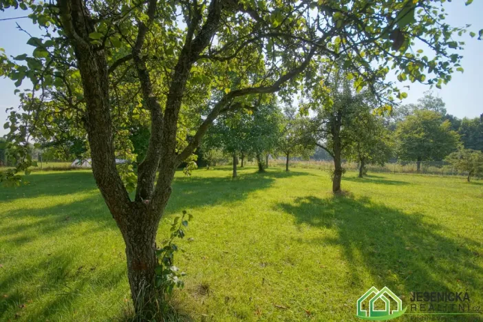 Prodej rodinného domu, Mikulovice, Nábřežní, 358 m2