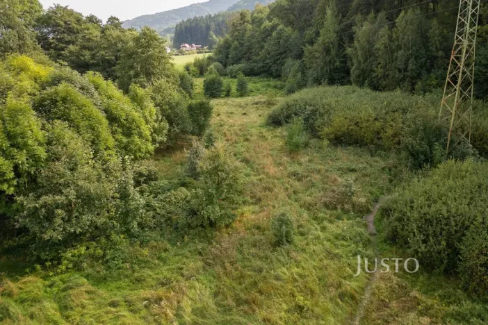 Prodej louky, Liberec - Liberec I-Staré Město, 6759 m2
