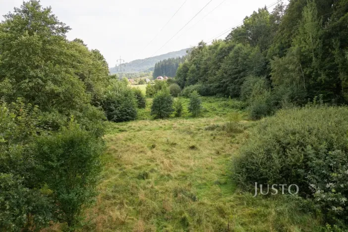 Prodej louky, Liberec - Liberec I-Staré Město, 6759 m2