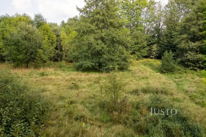 Prodej louky, Liberec - Liberec I-Staré Město, 6759 m2