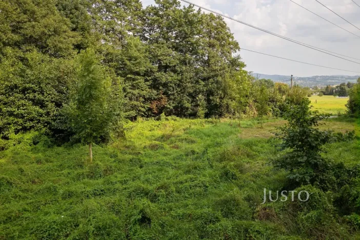 Prodej louky, Liberec - Liberec I-Staré Město, 6759 m2