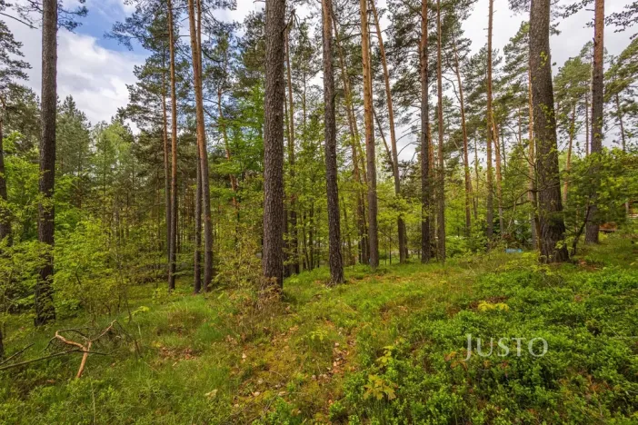 Prodej pozemku pro bydlení, Hamr na Jezeře, Děvínská, 1647 m2
