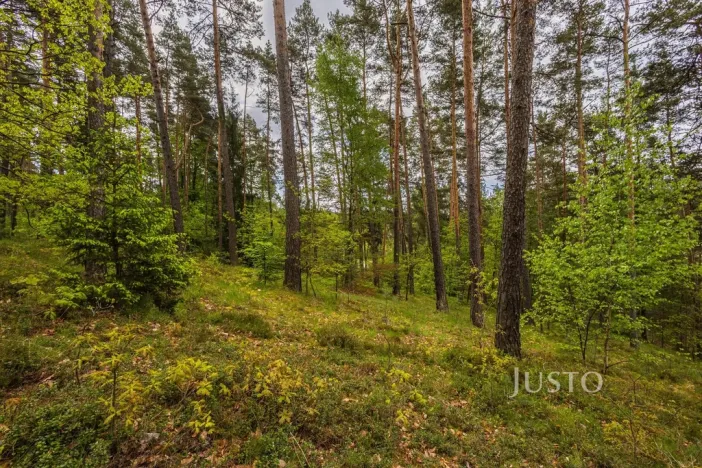 Prodej pozemku pro bydlení, Hamr na Jezeře, Děvínská, 1647 m2