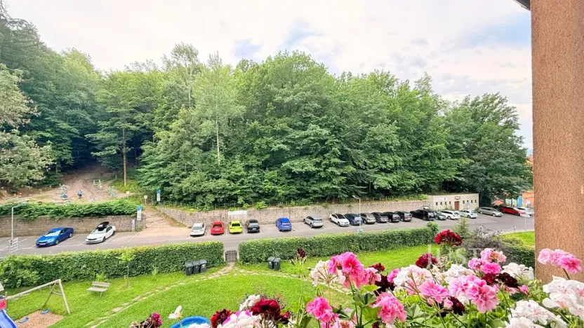 Pronájem bytu 3+kk, Liberec - Liberec I-Staré Město, Fibichova, 79 m2