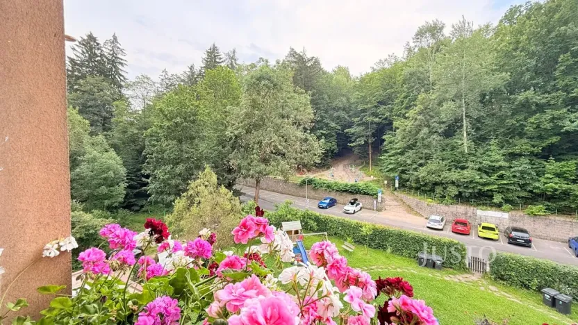 Pronájem bytu 3+kk, Liberec - Liberec I-Staré Město, Fibichova, 79 m2