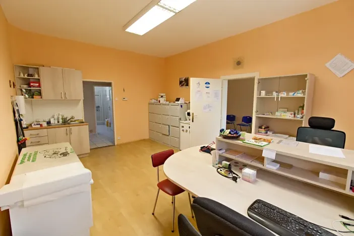Prodej vily, Hostouň, Petra Bezruče, 320 m2
