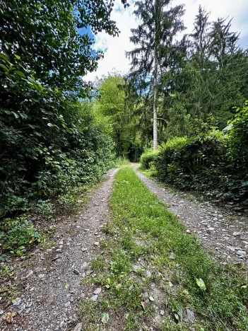Prodej pozemku, Štěchovice - Masečín, 820 m2