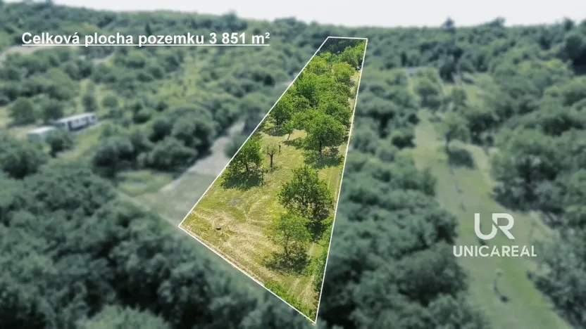 Prodej pole, Židlochovice, 3851 m2