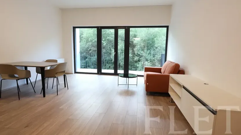 Pronájem bytu 1+kk, Praha - Žižkov, Hartigova, 48 m2
