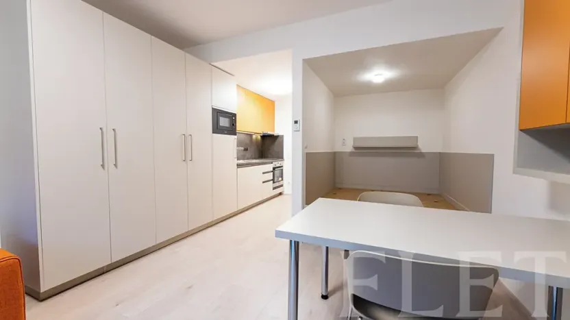 Pronájem bytu 1+kk, Praha - Žižkov, Hartigova, 34 m2