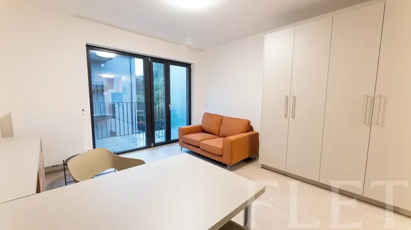 Pronájem bytu 1+kk, Praha - Žižkov, Hartigova, 34 m2