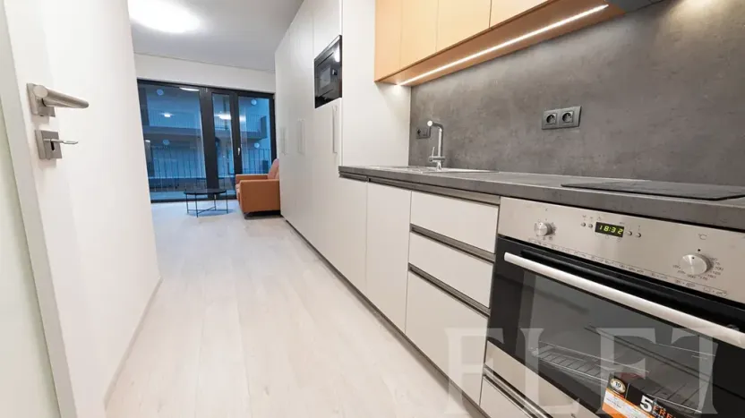 Pronájem bytu 1+kk, Praha - Žižkov, Hartigova, 34 m2